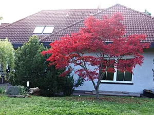 Pronájem rodinného domu, Psáry, Pod Skalkou, 300 m2