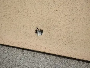 Dražba rodinného domu, Krásná Lípa, Nerudova, 315 m2