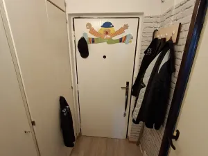 Prodej bytu 1+1, Brno, Halasovo náměstí, 29 m2