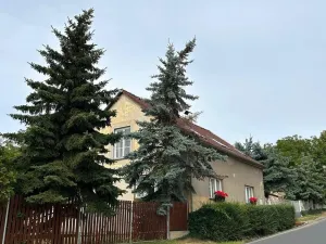 Prodej rodinného domu, Podbořany - Letov, 240 m2