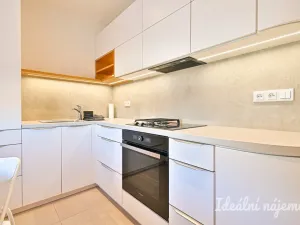 Pronájem bytu 2+1, Brno, Křížová, 52 m2