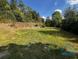 Prodej vícegeneračního domu, Stará Paka - Ústí, 300 m2