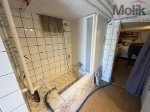 Prodej chaty, Dolní Zálezly, Na Vyhlídce, 518 m2