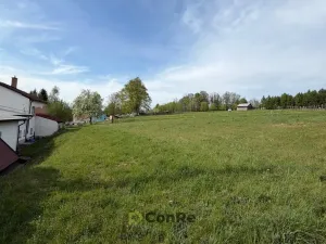 Prodej pozemku pro bydlení, Pulečný - Klíčnov, 875 m2