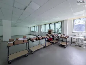 Pronájem výrobních prostor, Teplice, Pražská, 1185 m2