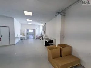 Pronájem výrobních prostor, Teplice, Pražská, 1185 m2