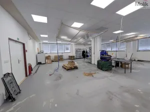 Pronájem výrobních prostor, Teplice, Pražská, 1185 m2