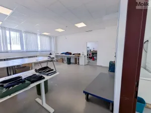 Pronájem výrobních prostor, Teplice, Pražská, 1185 m2