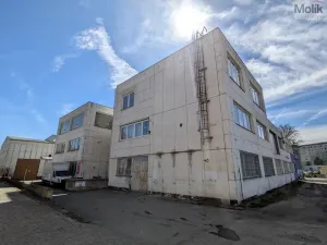 Pronájem výrobních prostor, Teplice, Pražská, 1185 m2