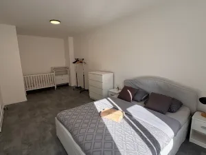 Pronájem bytu 2+kk, Opava, Otická, 50 m2