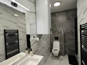 Pronájem bytu 2+kk, Opava, Otická, 50 m2