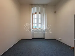 Pronájem obchodního prostoru, Mladá Boleslav - Mladá Boleslav I, Vodkova, 298 m2