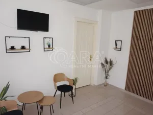 Pronájem komerční nemovitosti, Ústí nad Orlicí, Havlíčkova, 45 m2