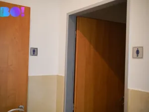 Pronájem kanceláře, Praha, Žerotínova, 57 m2