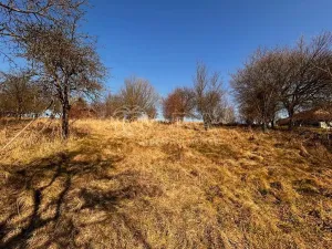 Prodej pozemku pro bydlení, Lično, 1777 m2