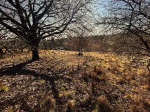 Prodej pozemku pro bydlení, Lično, 1777 m2