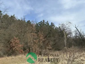 Prodej lesa, Hořovičky - Hokov, 43588 m2