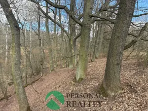 Prodej lesa, Hořovičky - Hokov, 43588 m2