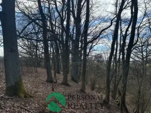 Prodej lesa, Hořovičky - Hokov, 43588 m2