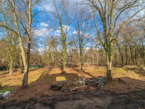 Prodej pozemku pro bydlení, Ovčáry, 6090 m2