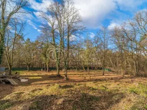 Prodej pozemku pro bydlení, Ovčáry, 6090 m2