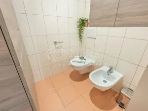 Prodej bytu 4+kk, Benešov, Tyršova, 136 m2