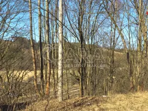 Prodej pozemku pro bydlení, Březová nad Svitavou, 2360 m2