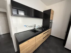 Pronájem bytu 1+1, Ostrava - Poruba, Opavská, 36 m2