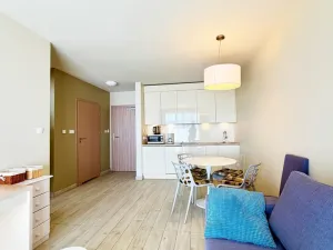 Prodej apartmánu, Dolní Morava, 41 m2