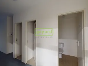 Pronájem obchodního prostoru, Litoměřice, Želetická, 698 m2