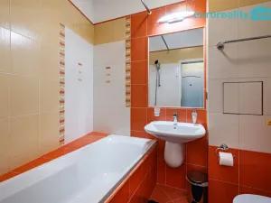 Pronájem ubytování, Karlovy Vary, Libušina, 340 m2
