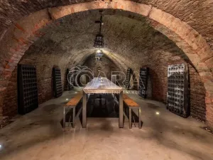 Prodej ubytování, Brod nad Dyjí, 588 m2