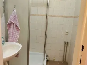 Prodej bytu 2+1, Cheb, Písečná, 50 m2