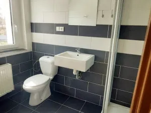Pronájem komerční nemovitosti, Mariánské Lázně - Úšovice, U Mlékárny, 176 m2