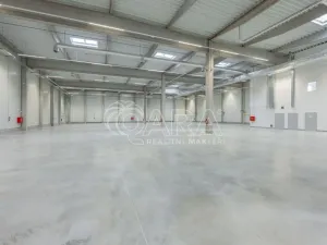 Pronájem skladu, Divišov, 2398 m2