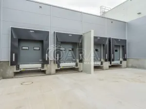 Pronájem skladu, Divišov, 2398 m2