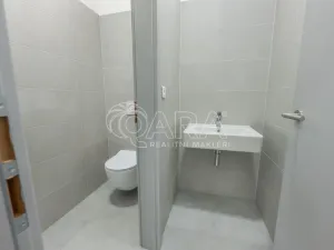 Pronájem skladu, Divišov, 2398 m2