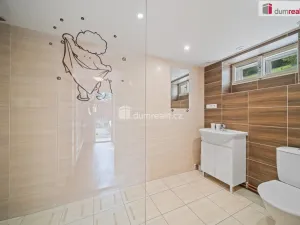 Prodej chalupy, Rokytnice nad Jizerou - Dolní Rokytnice, 460 m2