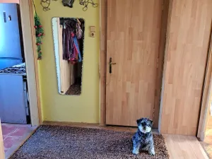 Prodej rodinného domu, Prostějov, Česká, 190 m2