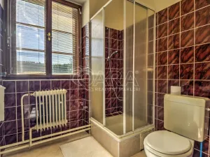 Prodej rodinného domu, Frymburk, 330 m2