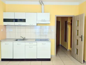 Pronájem bytu 2+kk, Karlovy Vary - Rybáře, Sokolovská, 48 m2