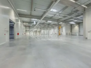 Pronájem skladu, Divišov, 2922 m2