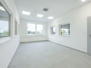 Pronájem skladu, Divišov, 2922 m2