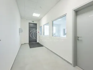 Pronájem skladu, Divišov, 2704 m2