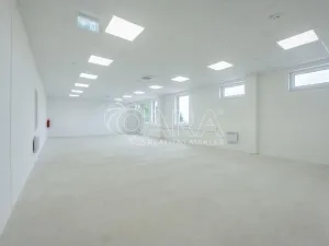 Pronájem skladu, Divišov, 2704 m2