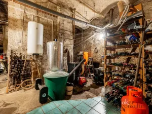 Prodej rodinného domu, Janov nad Nisou, 379 m2