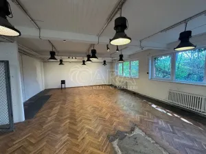 Pronájem skladu, Praha - Horní Počernice, Bystrá, 100 m2