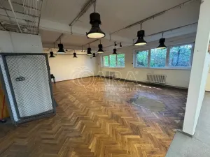 Pronájem skladu, Praha - Horní Počernice, Bystrá, 100 m2