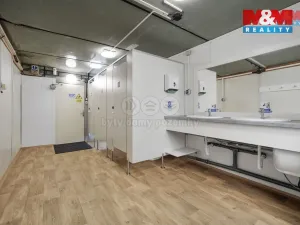 Pronájem obchodního prostoru, Nymburk, Maršála Koněva, 12 m2