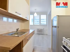 Pronájem bytu 1+kk, Mladá Boleslav, Jičínská, 41 m2